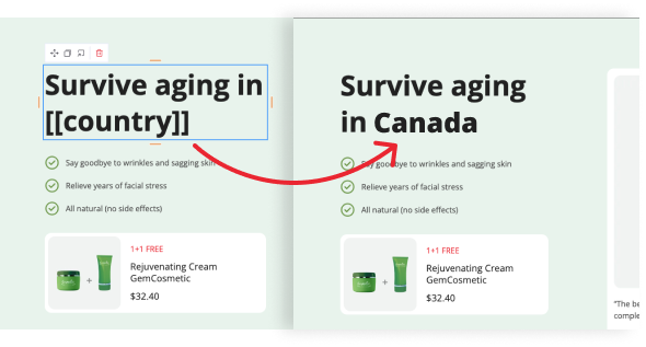 Dynamic Text Replacement